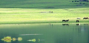 ���� Դ�ڴ���Ȼ